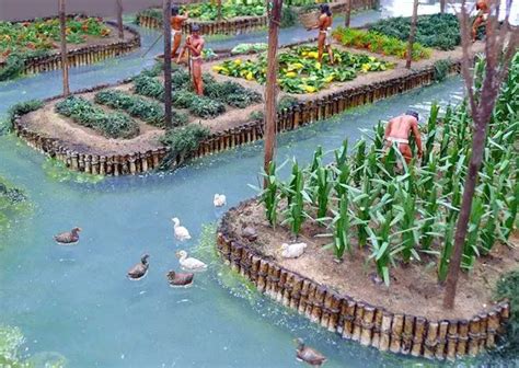 The History Of Chinampas, The ‘Floating Gardens’ Of Mexico.